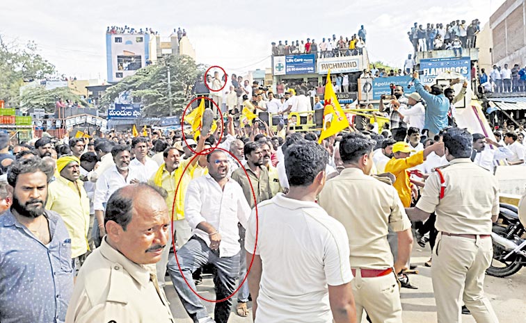 tdp11.jpg