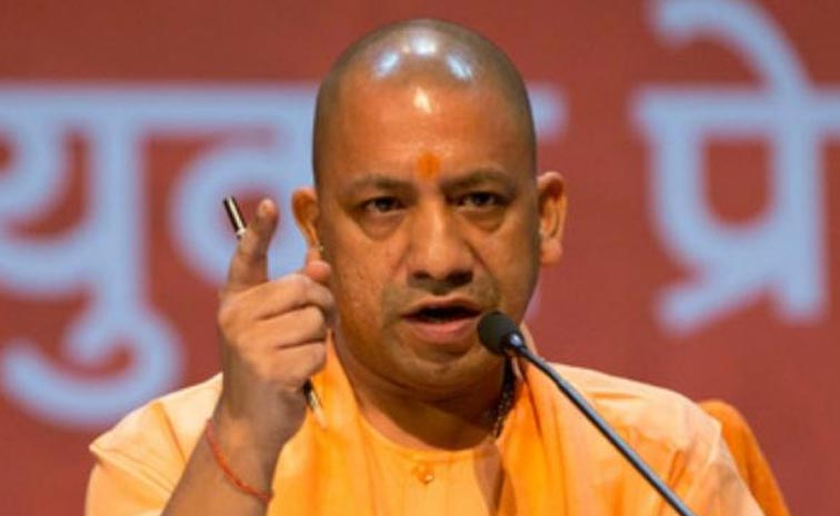 yogi-5.jpg