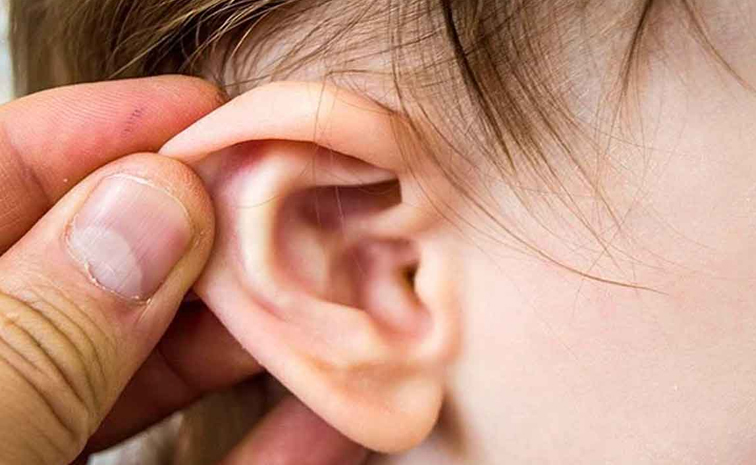 Ear-Bitten.jpg