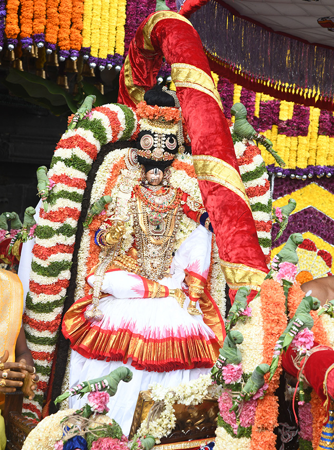 Tirumala_20_20Mohini_20Avatharam_20Brahmotsavam_202024_20Photos_32.jpg 28