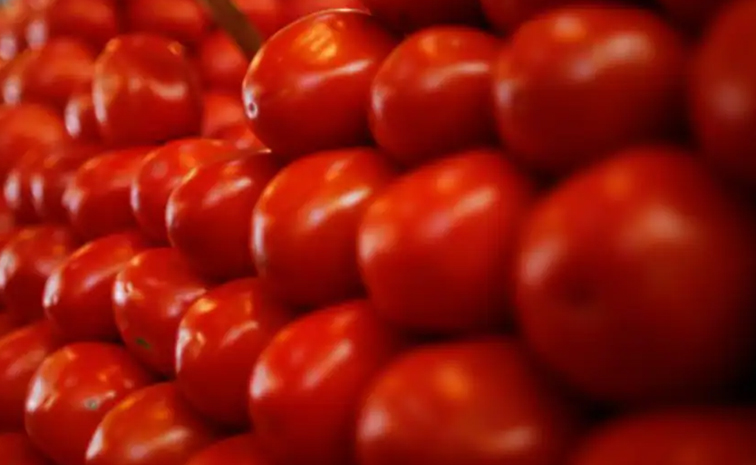 tomato.jpg