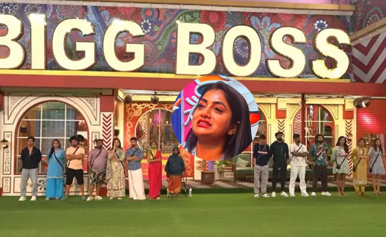 bigg-boss-8-nayani-pavani.jpg
