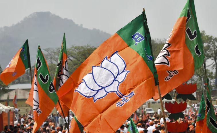bjp.jpg