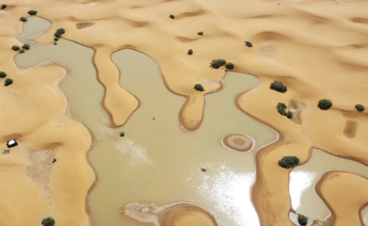 sahara.jpg
