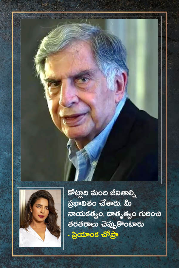 Ratan_20Tata_20Cinema_20Gallery-0111.jpg 12