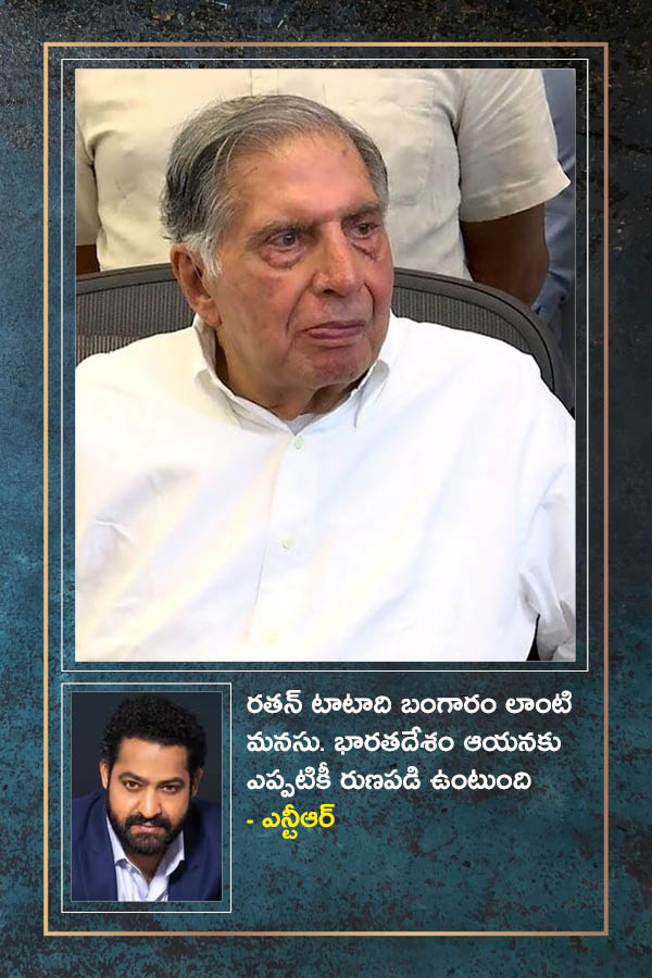 Ratan_20Tata_20Cinema_20Gallery-013.jpg 4