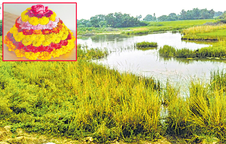 batukamma.jpg