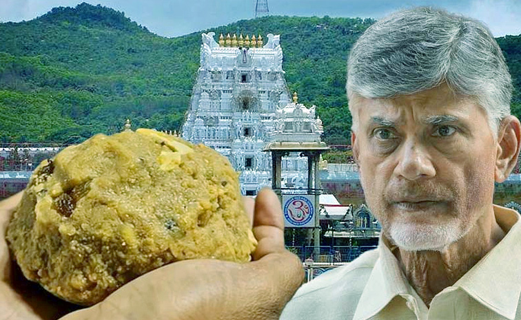 chandrababu-naidu-tirupati.jpg