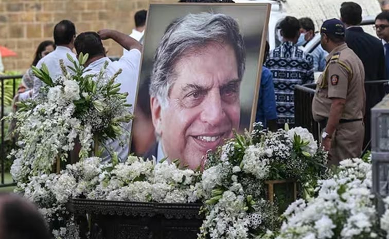 tata1.jpg