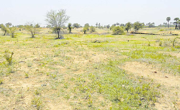 OPEN-LAND-2.jpg