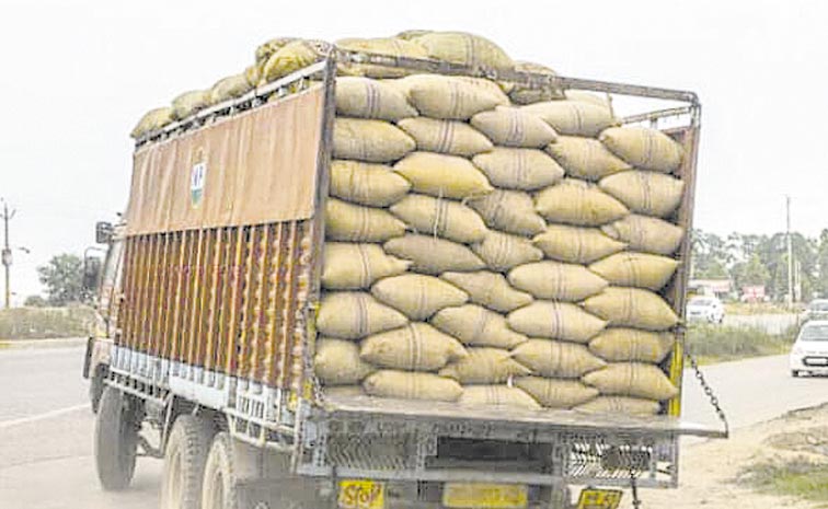 RICE-10.jpg