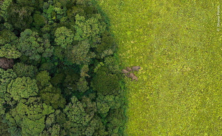 Wildlife_20photographer_20of_20the_20year_202024_20winners_20and_20their_20pictures_20Photos_20_284_29.jpg 4