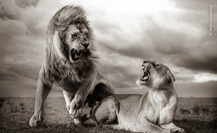 Wildlife_20photographer_20of_20the_20year_202024_20winners_20and_20their_20pictures_20Photos_20_287_29.jpg 7