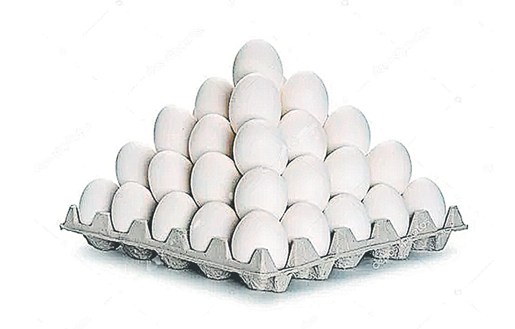 egs.jpg