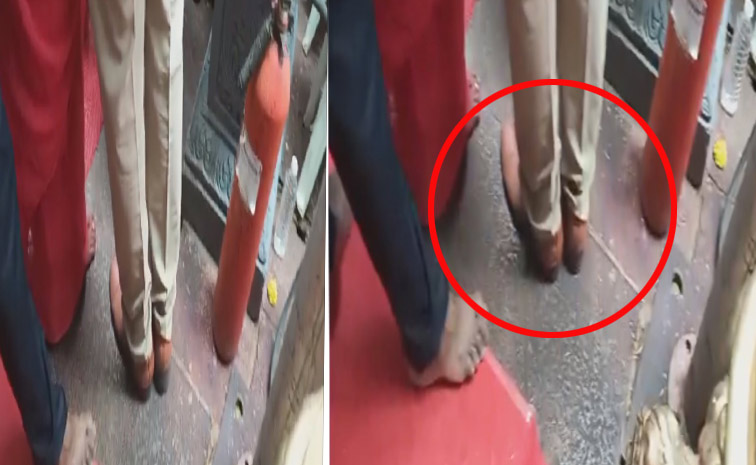 shoe2.jpg