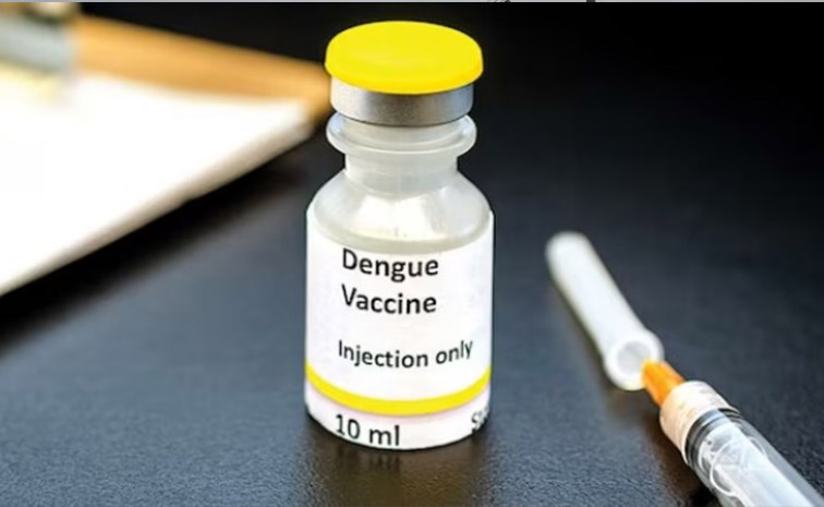 dengue.jpg