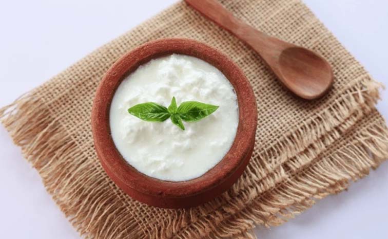 curd.jpg