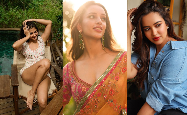 pooja-hegde-tripti-dimri.jpg
