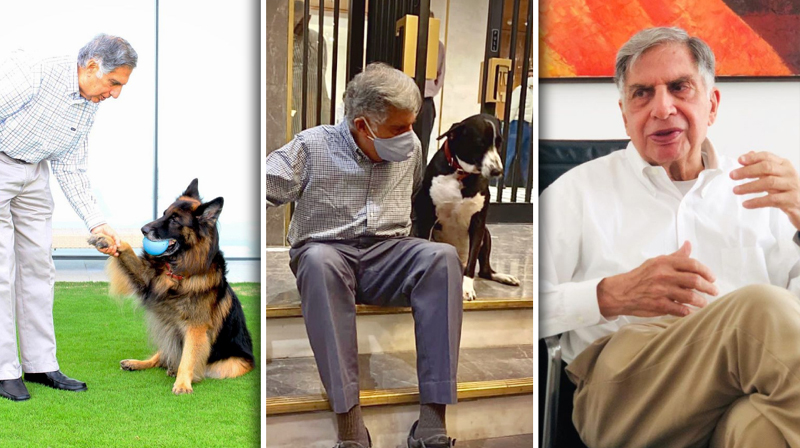 ratatn_20tata.jpg