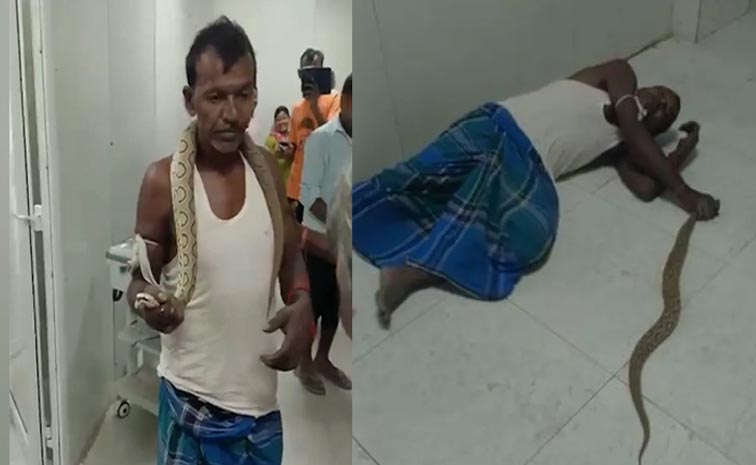 Bihar-Man-Bitten-By-Snake-W.jpg