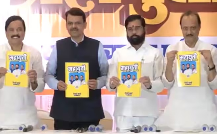 fadnavis.jpg
