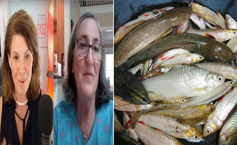 fishes12_0.jpg