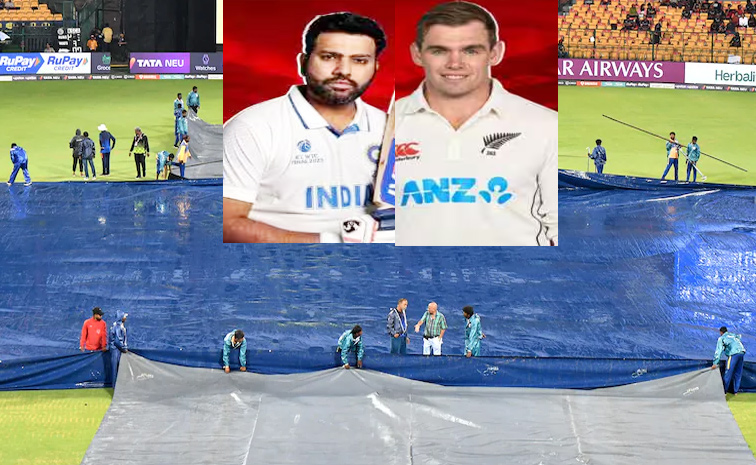 indvsnz.jpg