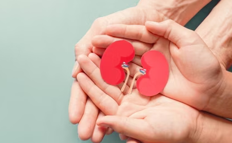 Kidney_20transplants_HIV.jpg
