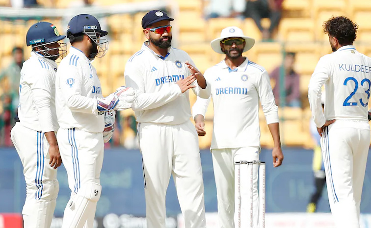 indvsnz.jpg