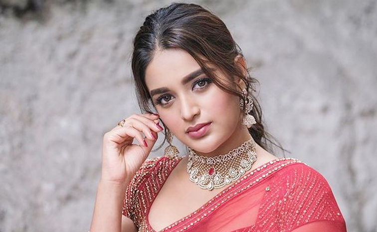 nidhhi-agerwal1.jpg