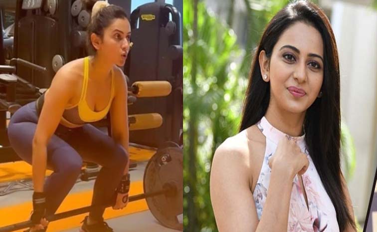 rakul.jpg