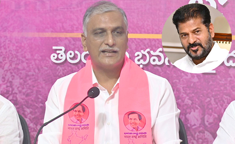 Harish-Rao_1.jpg