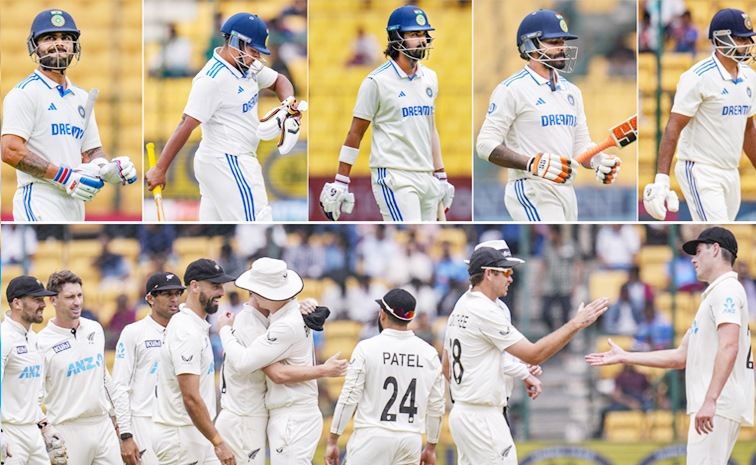 indvsnz.jpg