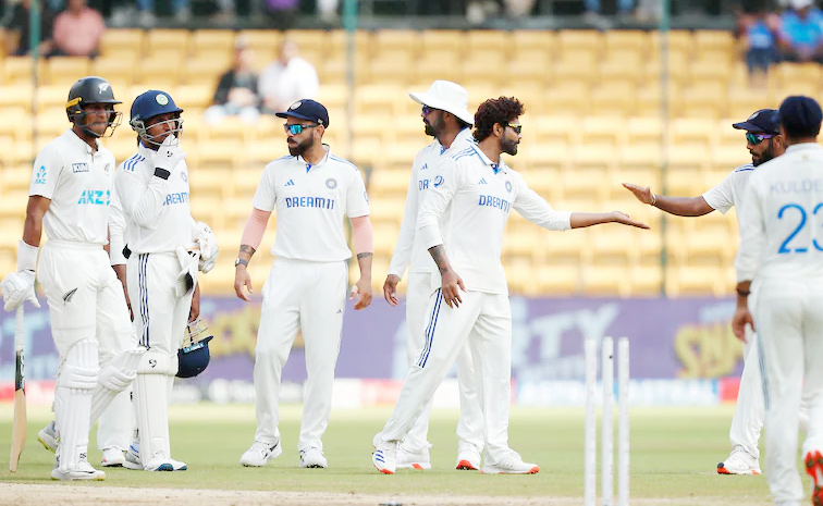 indvvnz2.jpg