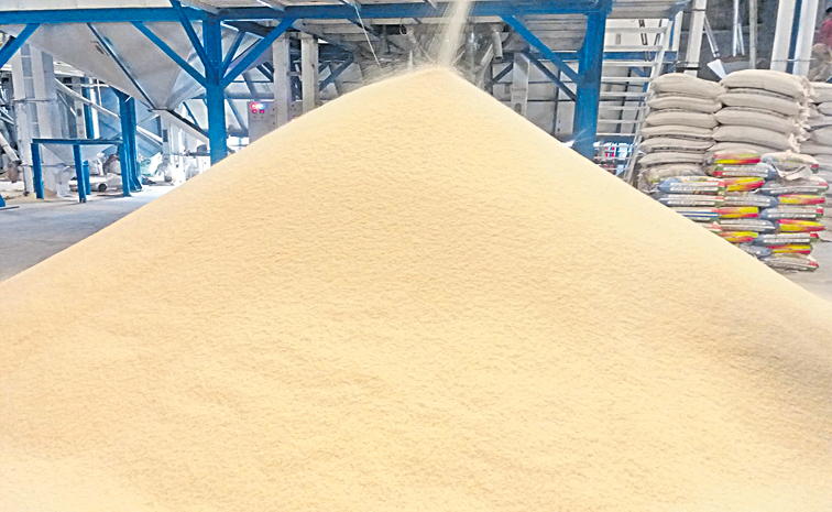 rice.jpg