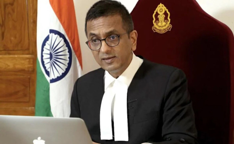 CJI.jpg