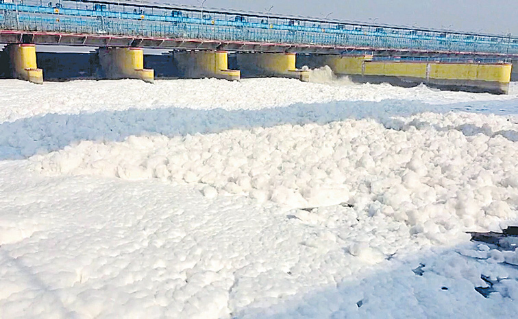 RIVER-YAMUNA---TOXIC-FROTH.jpg