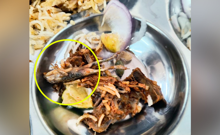 Frog_20at_20Biriyani.jpg