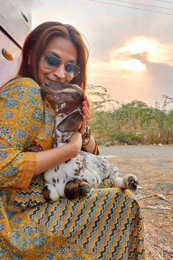 Is_20Dhanush_20-_20Aishwarya_20Rajinikanth_20Divorce_20_20Cancel_20rumors_20on_20social_20media_20Photos_20_287_29.jpg 8