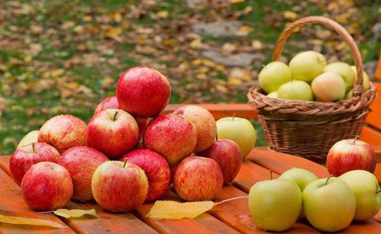 Apple.jpg