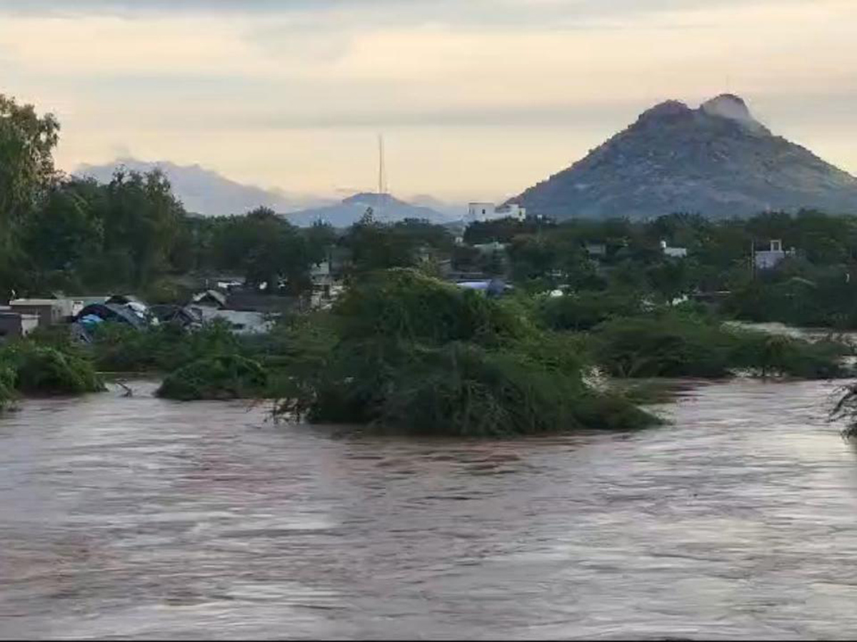 Pandameru_20river_20Flood_20in_20Raptadu_20Anantapur_20district_20_285_29.jpg 5