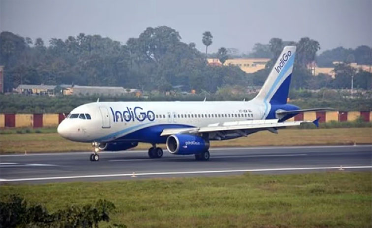 indigo.jpg