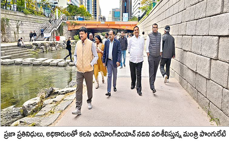 pongu.jpg