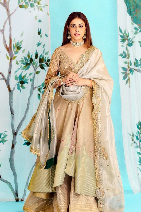 Genelia_20diwali_20looks17.jpg 18
