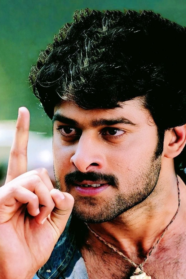 Prabhas_20elevations_205.jpg 6