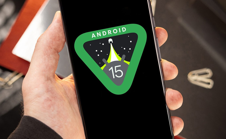 android15.jpg
