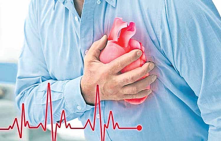 heart.jpg