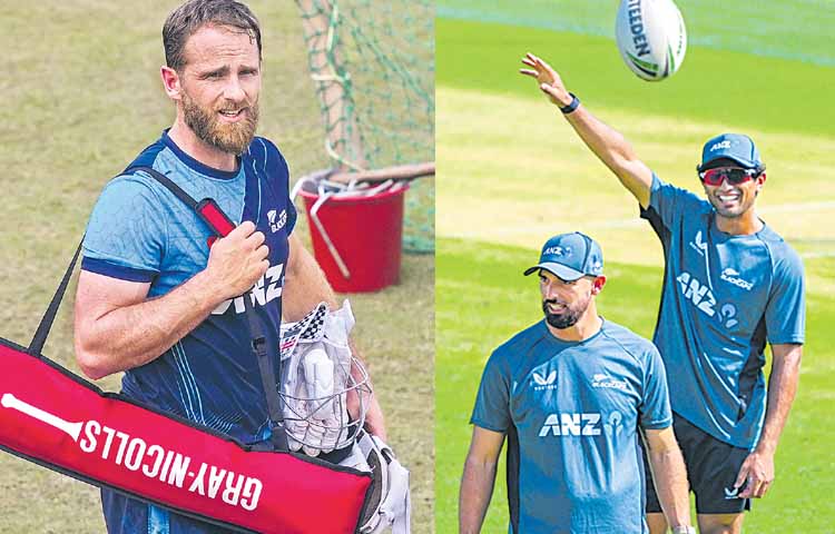 nzl.jpg