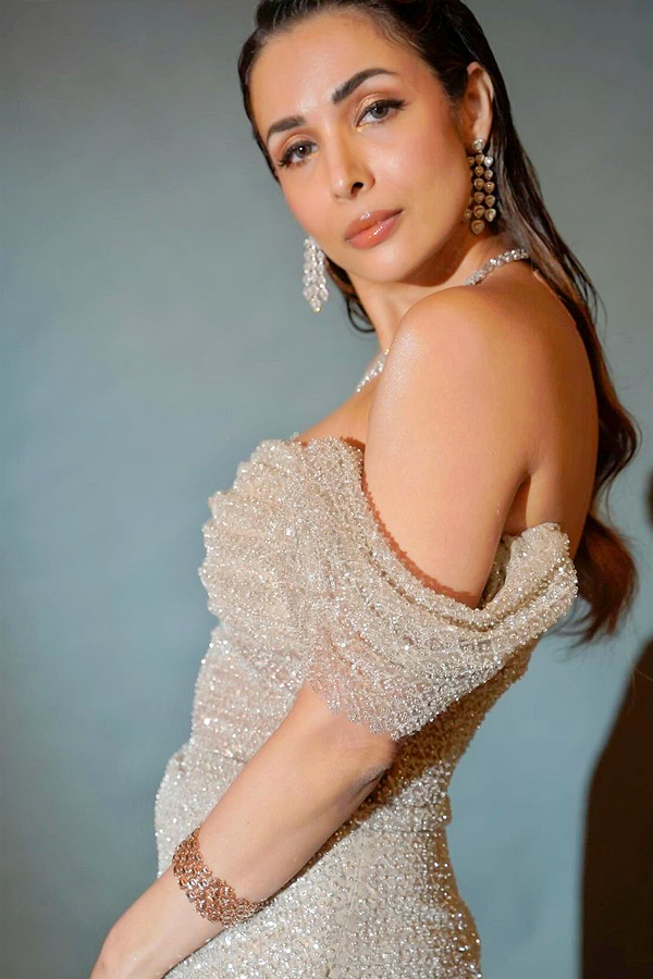 unknown_20facts_20about_20Malaika_20Arora_20Life_20Pics_20Goes_20Viral_20In_20Social_20Media_20_289_29.jpg 10
