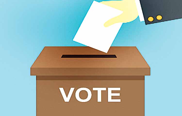 vote.jpg
